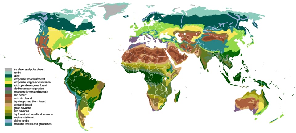 Biome