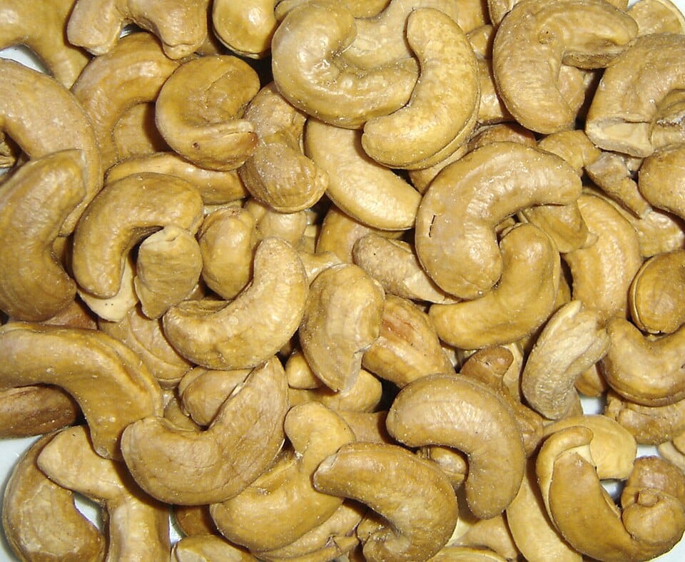 cashew nut