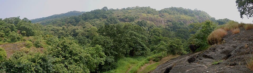 Sanjay Gandhi National Park