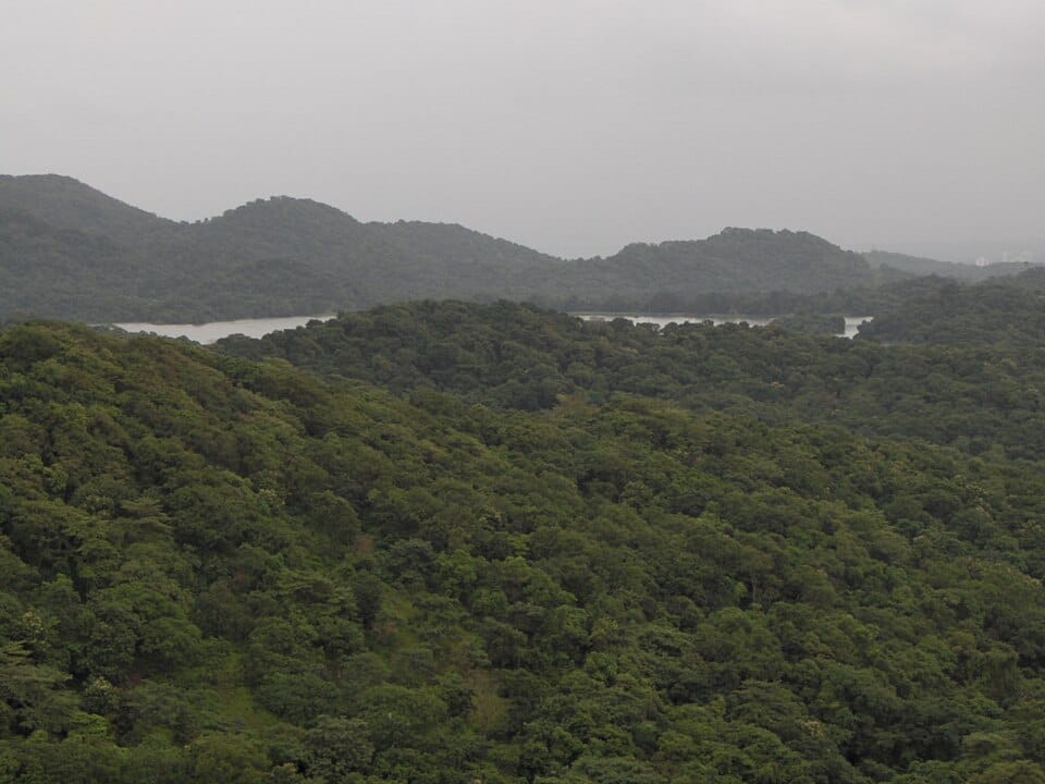 Tulsi Lake